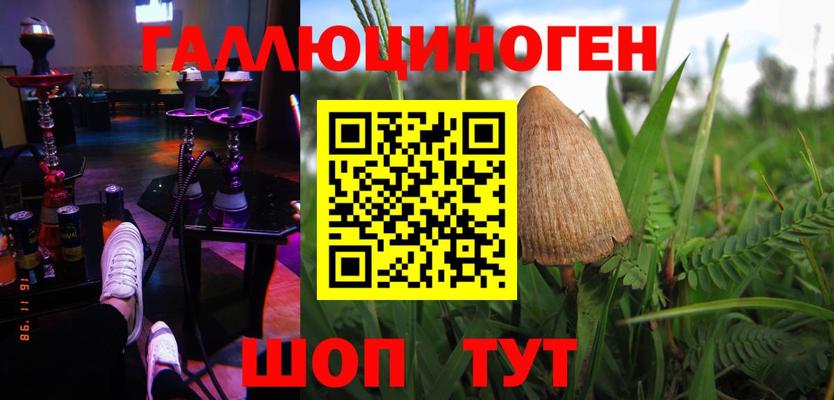 Псилоцибиновые грибы Psilocybe Моршанск
